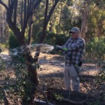 Watering in the Garden Watering in the Garden