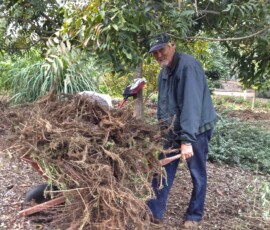 Now that's a full wheelbarrow! Now that's a full wheelbarrow!