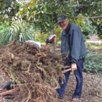 Now that's a full wheelbarrow! Now that's a full wheelbarrow!