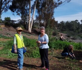 Nettle Fest 2016 - Joanne and Janet Nettle Fest 2016 - Joanne and Janet