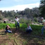 Nettle Fest 2016 Volunteers Nettle Fest 2016 Volunteers