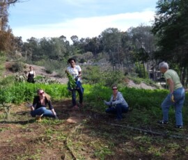 Nettle Fest 2016 Volunteers Nettle Fest 2016 Volunteers